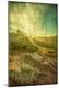 Premium Photographic Print