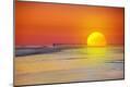 Photographic Print