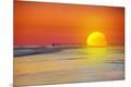 Photographic Print