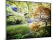 Photographic Print