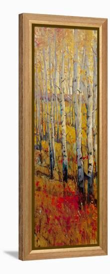 Vivid Birch Forest I-Tim O'toole-Framed Stretched Canvas