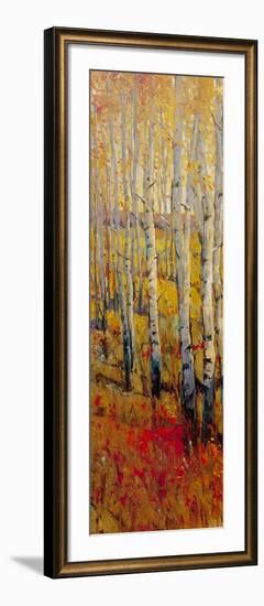 Vivid Birch Forest I-Tim O'toole-Framed Art Print