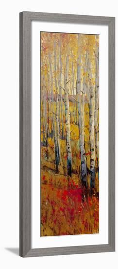 Vivid Birch Forest I-Tim O'toole-Framed Art Print