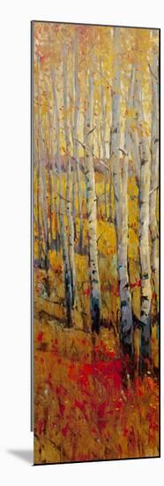 Vivid Birch Forest I-Tim O'toole-Mounted Art Print
