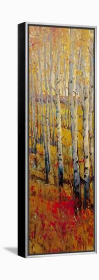 Vivid Birch Forest I-Tim O'toole-Framed Stretched Canvas