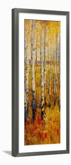 Vivid Birch Forest II-Tim O'toole-Framed Art Print