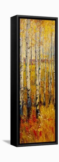 Vivid Birch Forest II-Tim O'toole-Framed Stretched Canvas