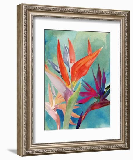 Vivid Birds of Paradise I-Jennifer Paxton Parker-Framed Art Print