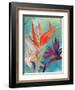 Vivid Birds of Paradise I-Jennifer Paxton Parker-Framed Art Print