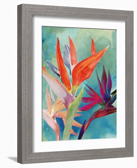 Vivid Birds of Paradise I-Jennifer Paxton Parker-Framed Art Print