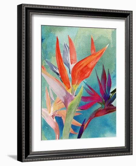 Vivid Birds of Paradise I-Jennifer Paxton Parker-Framed Art Print