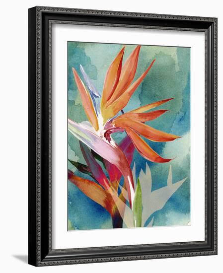 Vivid Birds of Paradise II-Jennifer Paxton Parker-Framed Art Print