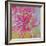 Vivid Bouquet II-Caroline Ashwood-Framed Giclee Print