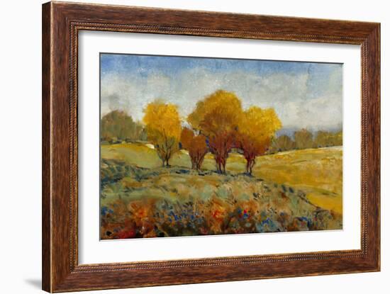 Vivid Brushstrokes I-Tim O'toole-Framed Art Print