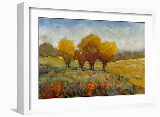 Vivid Brushstrokes I-Tim O'toole-Framed Art Print