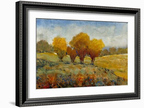 Vivid Brushstrokes I-Tim O'toole-Framed Art Print