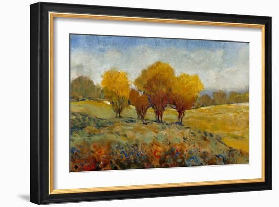 Vivid Brushstrokes I-Tim O'toole-Framed Art Print