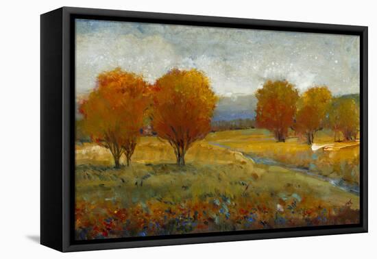 Vivid Brushstrokes II-Tim O'toole-Framed Stretched Canvas