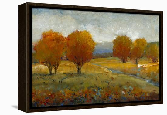 Vivid Brushstrokes II-Tim O'toole-Framed Stretched Canvas