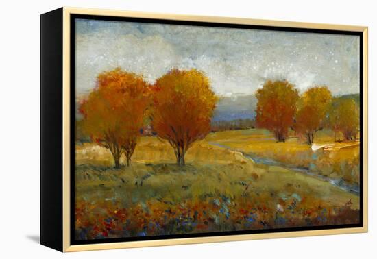 Vivid Brushstrokes II-Tim O'toole-Framed Stretched Canvas