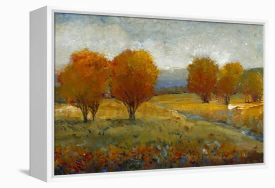 Vivid Brushstrokes II-Tim O'toole-Framed Stretched Canvas