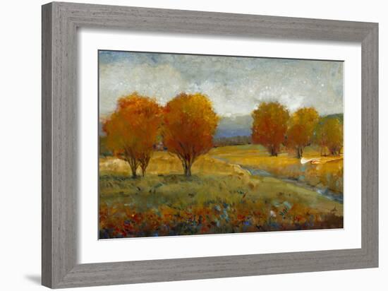 Vivid Brushstrokes II-Tim O'toole-Framed Art Print