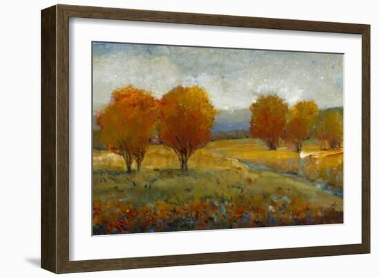 Vivid Brushstrokes II-Tim O'toole-Framed Art Print