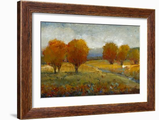 Vivid Brushstrokes II-Tim O'toole-Framed Art Print