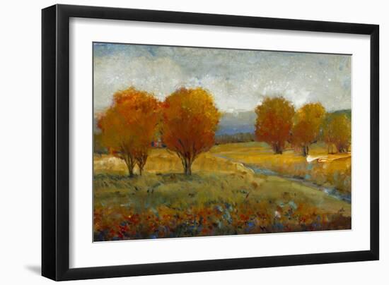 Vivid Brushstrokes II-Tim O'toole-Framed Art Print