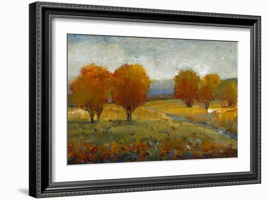 Vivid Brushstrokes II-Tim O'toole-Framed Art Print