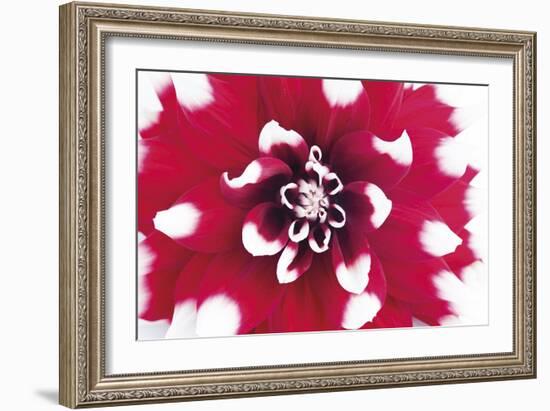 Vivid Burst-Ben Wood-Framed Giclee Print