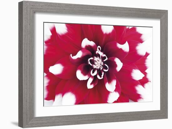 Vivid Burst-Ben Wood-Framed Giclee Print