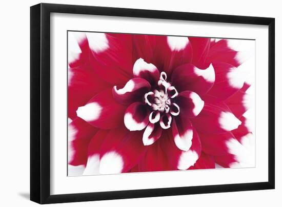 Vivid Burst-Ben Wood-Framed Giclee Print