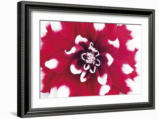 Vivid Burst-Ben Wood-Framed Giclee Print