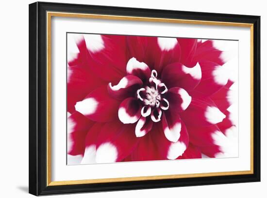 Vivid Burst-Ben Wood-Framed Giclee Print