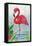 Vivid Flamingo I-Chariklia Zarris-Framed Stretched Canvas