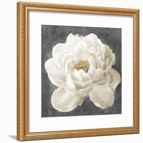 Vivid Floral I White Flower-Danhui Nai-Framed Art Print