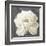 Vivid Floral I White Flower-Danhui Nai-Framed Art Print