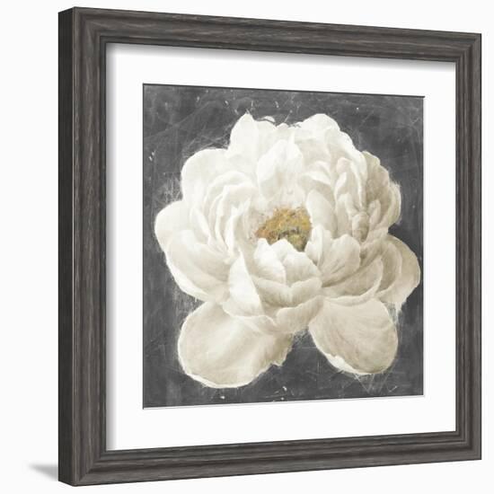 Vivid Floral I White Flower-Danhui Nai-Framed Art Print