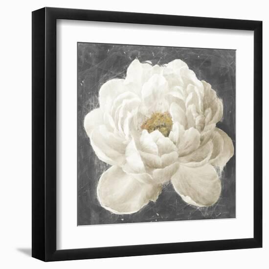 Vivid Floral I White Flower-Danhui Nai-Framed Art Print