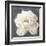 Vivid Floral I White Flower-Danhui Nai-Framed Art Print