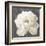 Vivid Floral I White Flower-Danhui Nai-Framed Art Print