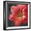 Vivid Floral III Crop-Danhui Nai-Framed Art Print