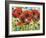 Vivid Poppies III-Carolee Vitaletti-Framed Art Print