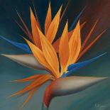 Bird of Paradise II-Vivien Rhyan-Art Print