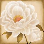 White Peonies II-Vivien Rhyan-Art Print