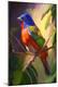 Premium Giclee Print