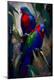 Premium Giclee Print