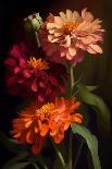 Zinnia Flowers I-Vivienne Dupont-Art Print