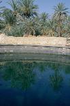 Cleopatras Pool, Siwa, Egypt-Vivienne Sharp-Photographic Print